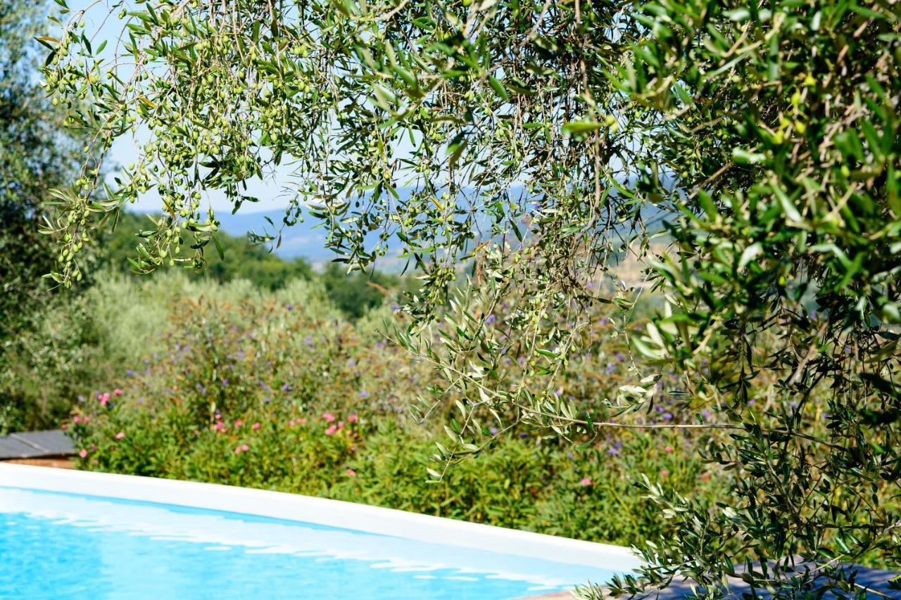 Agriturismo La Pieve Pelago Buitenkant foto