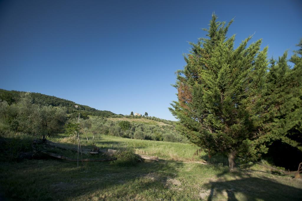 Agriturismo La Pieve Pelago Buitenkant foto